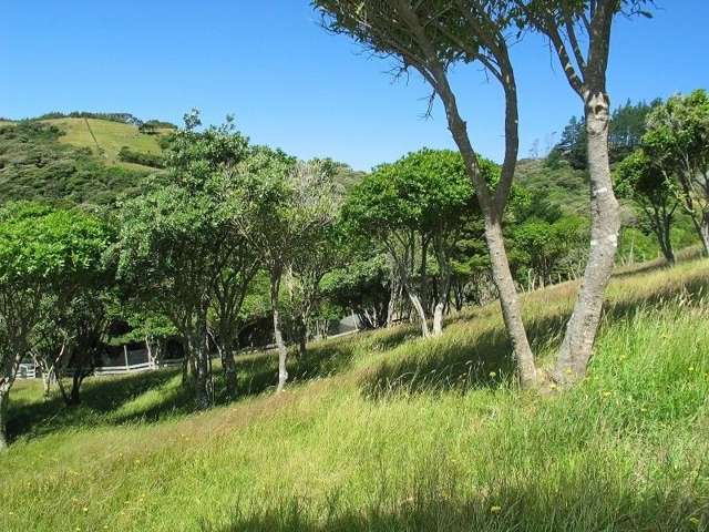 69 Exploration Way Whitby_2