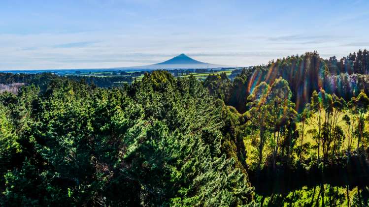 709 Ingahape Road Ohangai_13