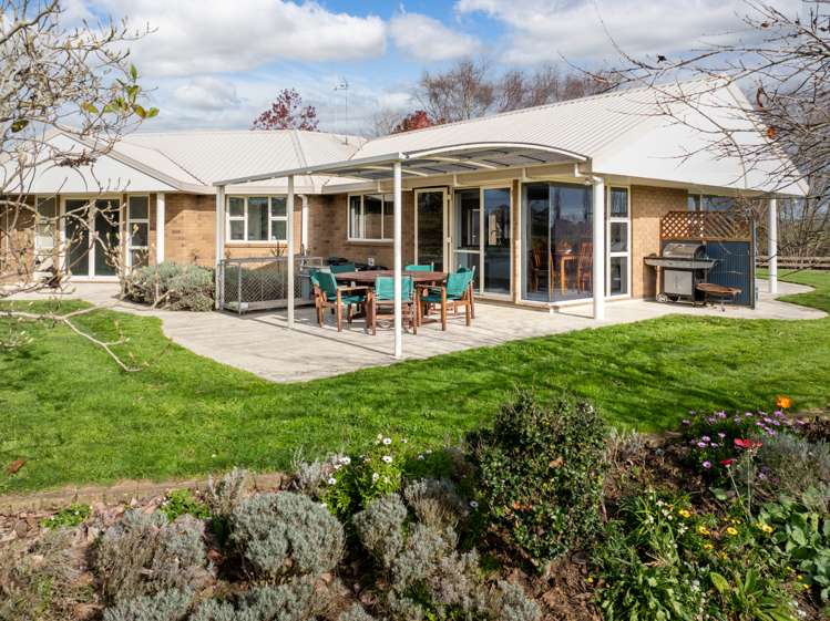 485 Kiwitahi Railway Road Morrinsville_5