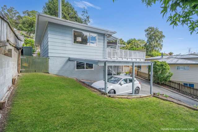 52 Torlesse Street Enner Glynn_4