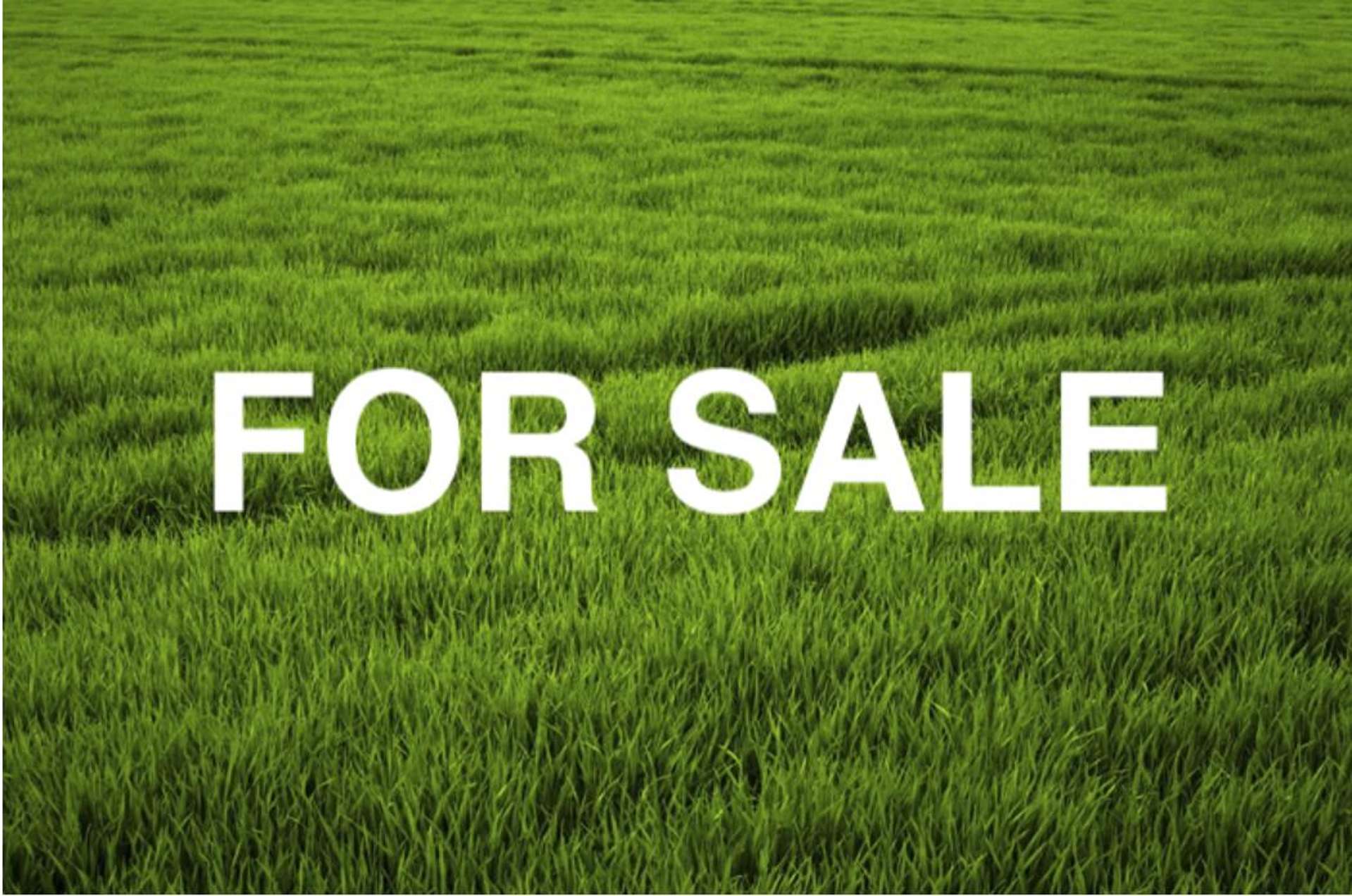 11 Makomako Drive Orewa_0