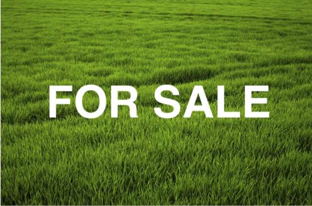 Motivated Vendor, Quality Section, Must Be Sold