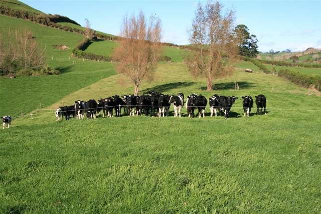 2 Davis Road Inglewood_1