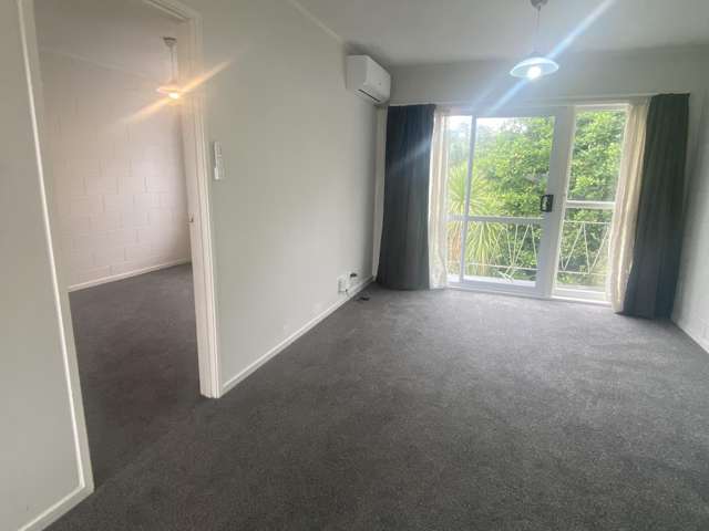 7/8 Edenvale Park Road Mount Eden_4