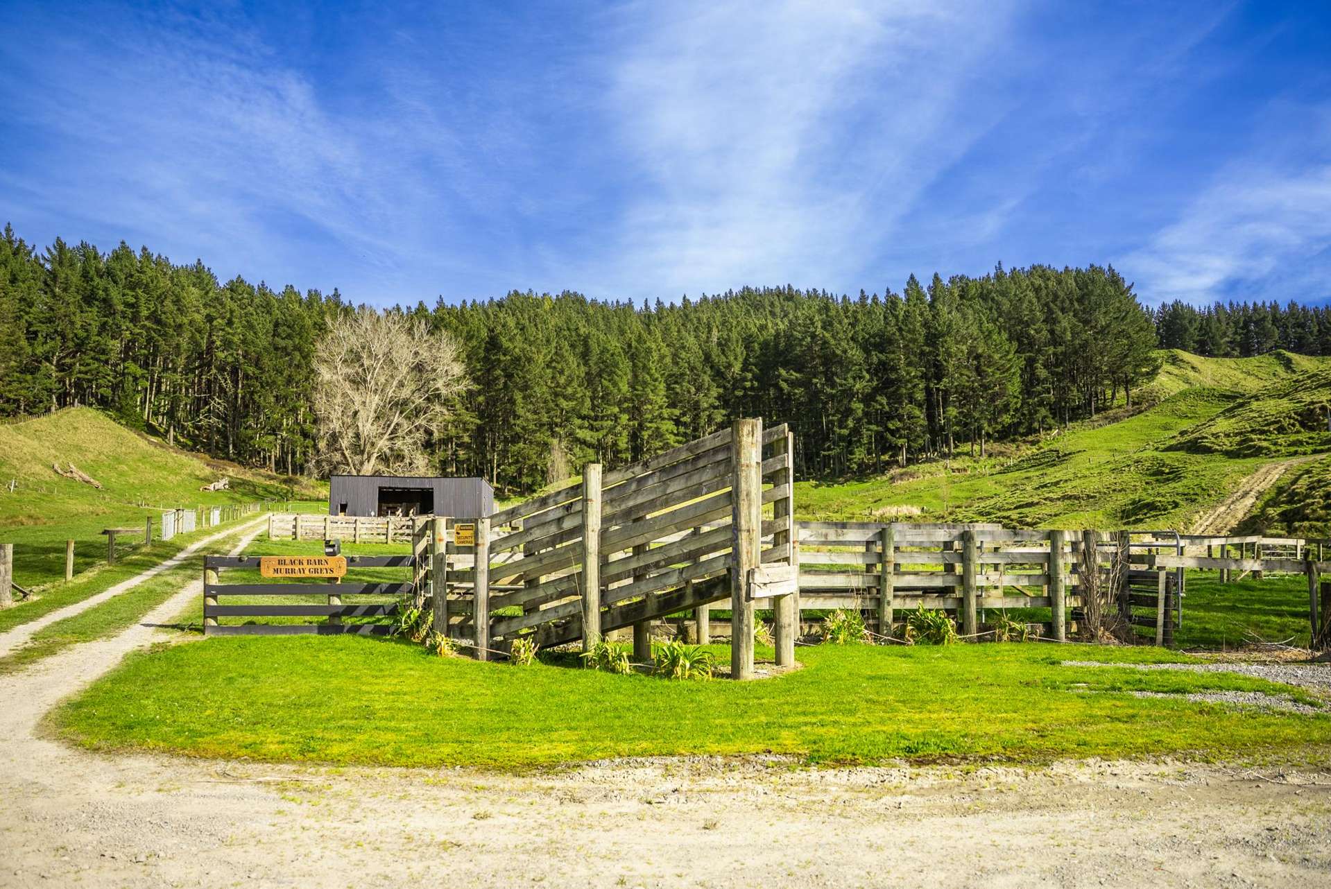 1522 State Highway 2 Wairoa_0