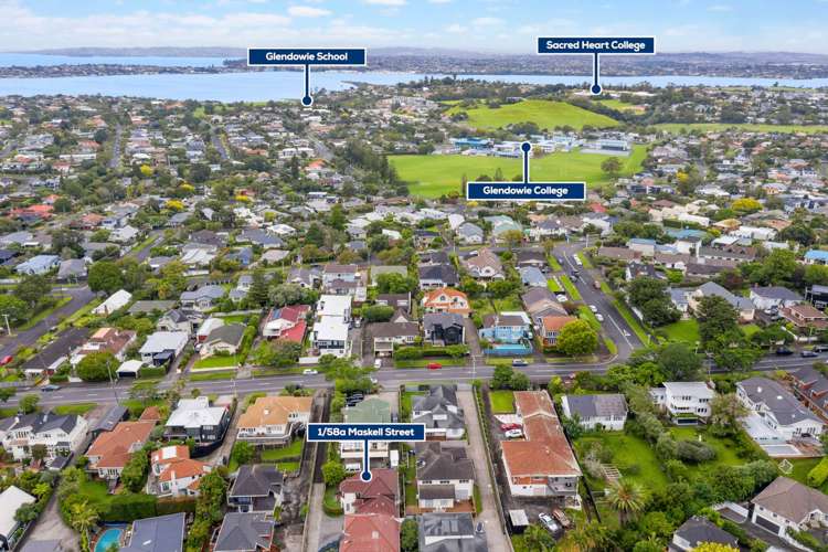 1/58a Maskell Street Saint Heliers_17