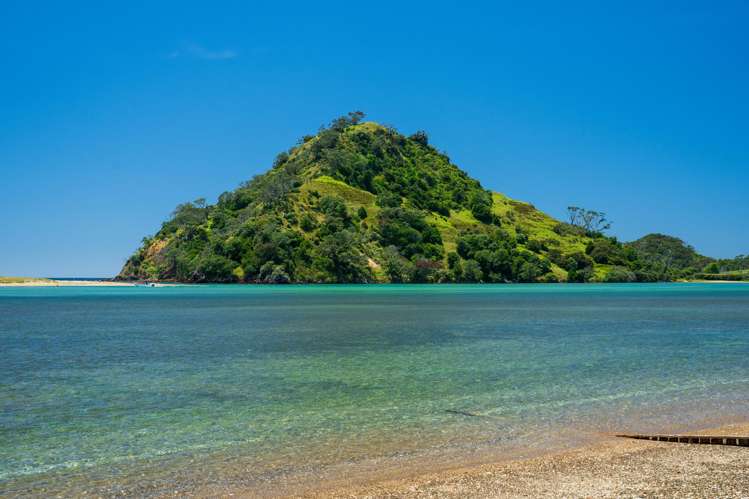 890 Pataua South Road Pataua South_22