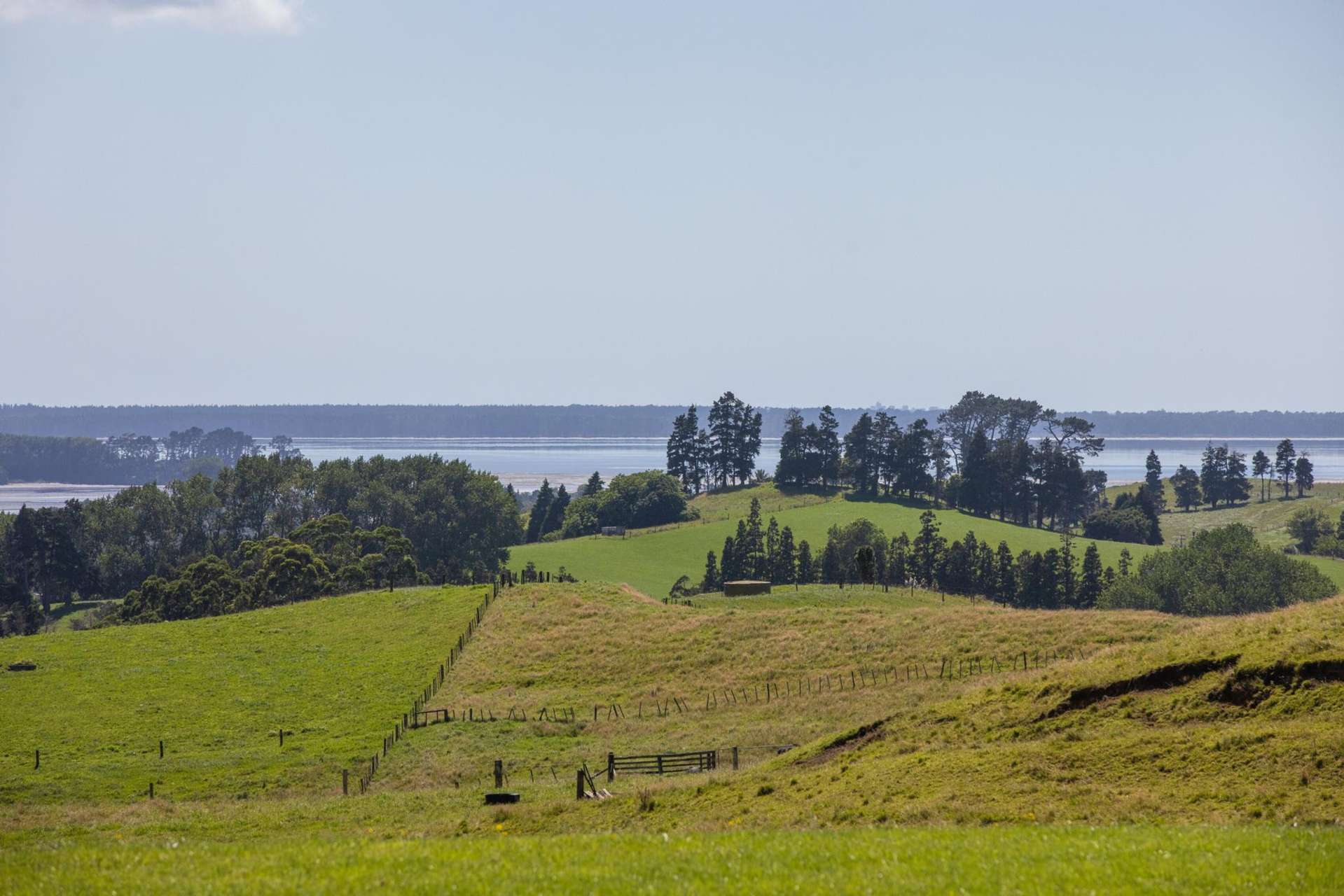 250 Busby Road Katikati_0