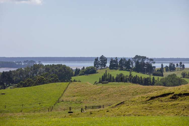 250 Busby Road Katikati_12