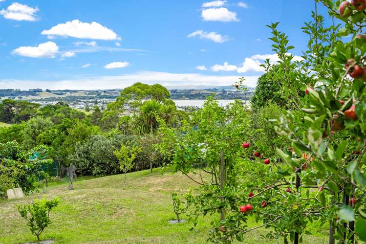 34 Laika Avenue Ti Point_27