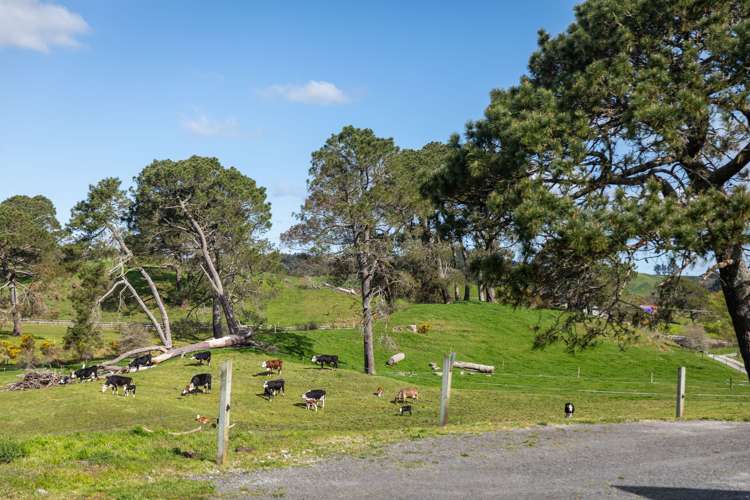 259 Mcphail Road Oropi_21