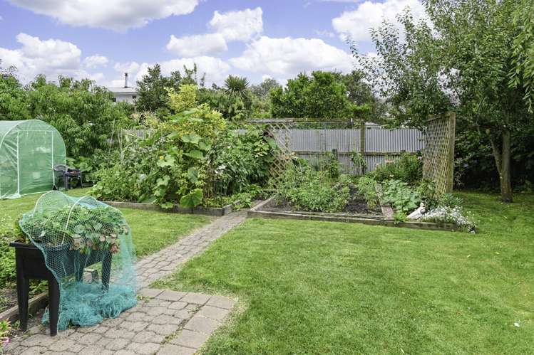 713 Seddon Street Raureka_21