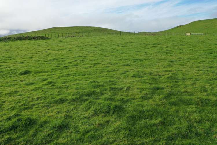 Lot 1 Tararua Road Pahiatua_9