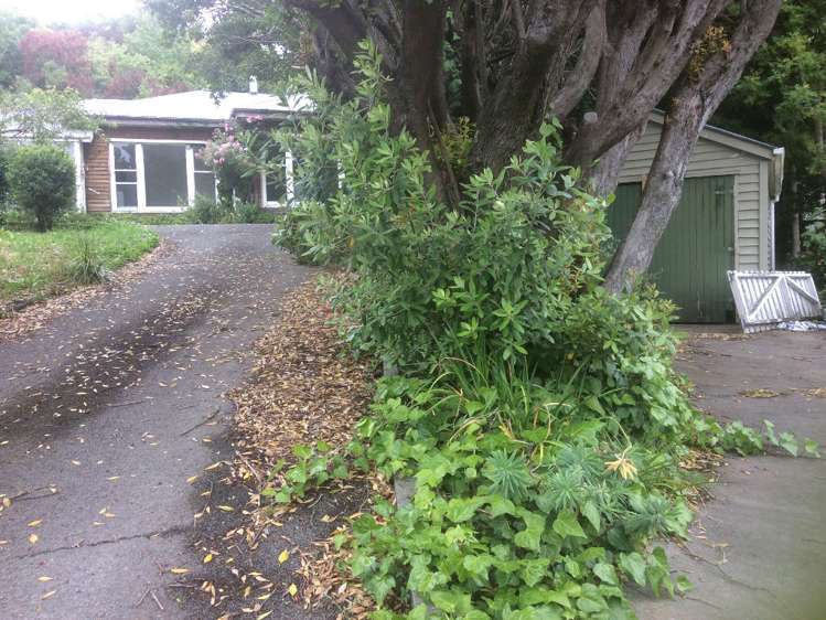 15a Bowenvale Avenue Cashmere_16