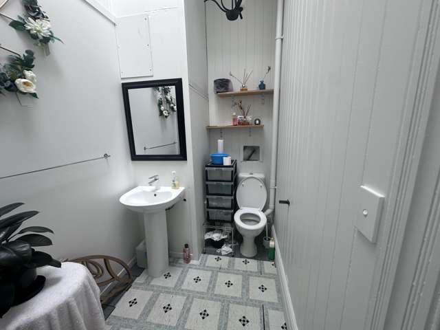 219 - 225 Dominion Road Mount Eden_2