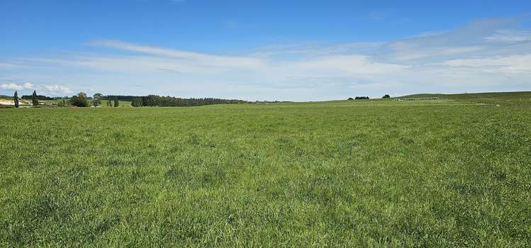 Parker Road Gore Surrounds_10