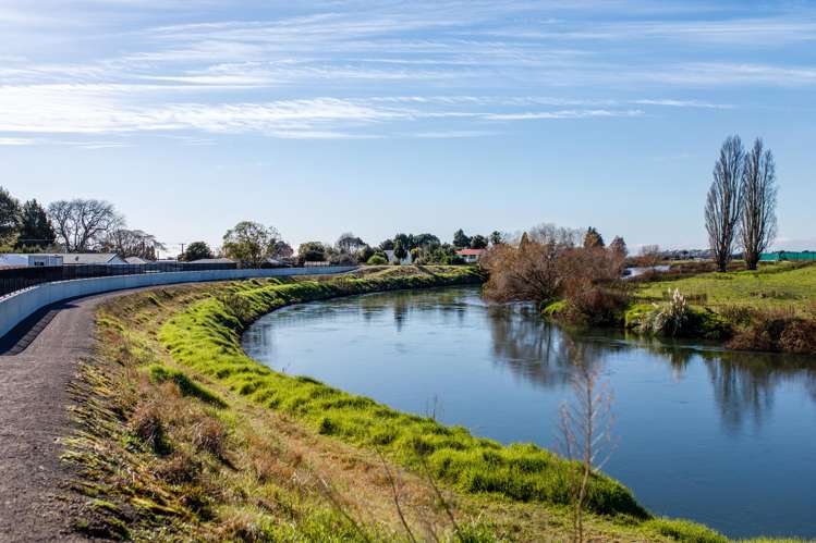 87 College Road Edgecumbe_33