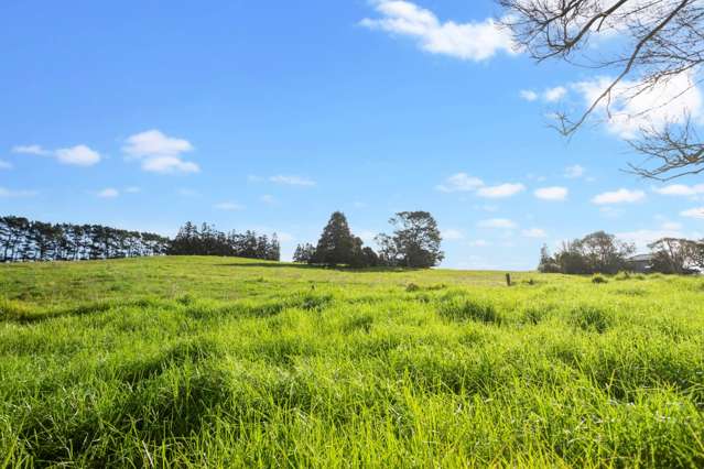 32 Hutchinson Road Helensville_2