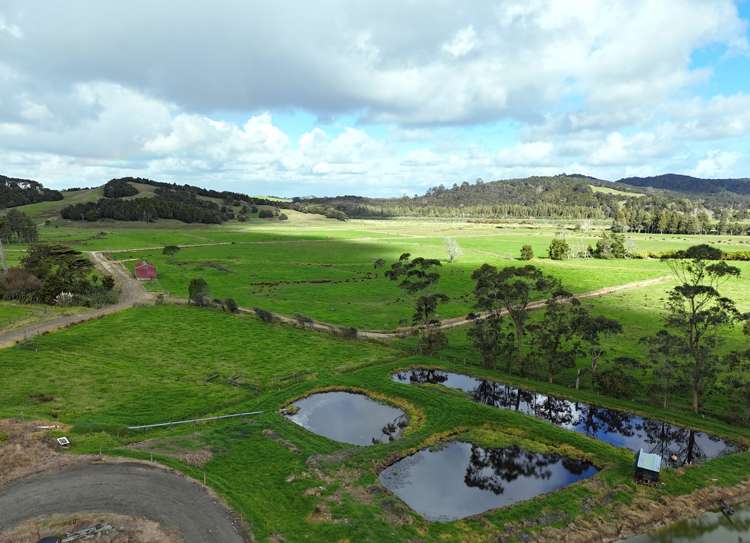 295 and 132 Tangowahine Settlement West Road Tangowahine_15