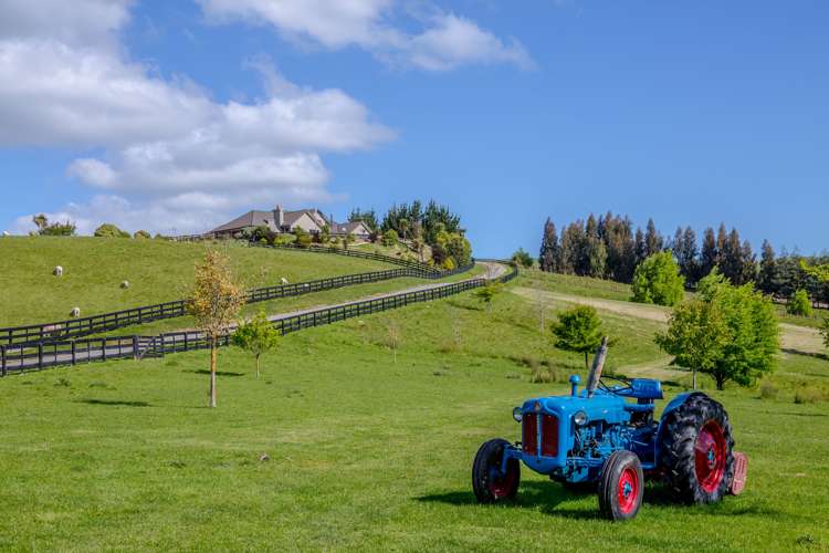 117 Lees Pakaraka Road Masterton_22