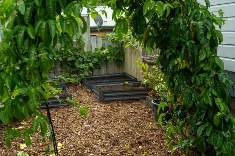 9 Hayward Court Te Puke_19