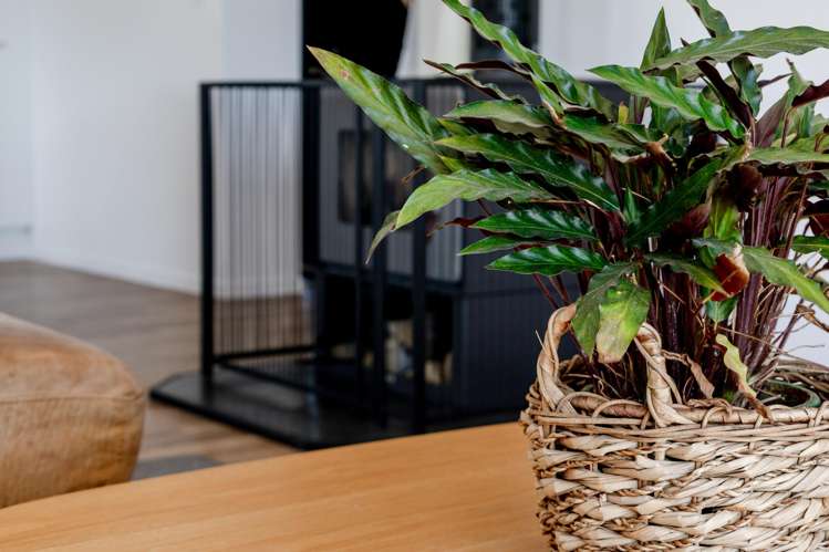 12 Inanga Place Hokitika_20