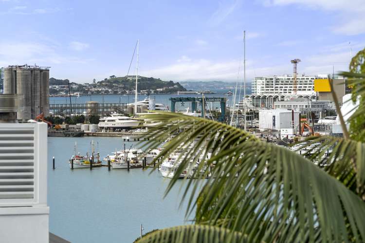 23 Hackett Street Saint Marys Bay_8