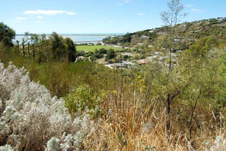 20 La Costa Lane Mount Pleasant_14