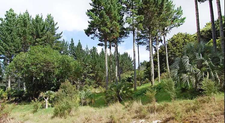 2471 State Highway 1, RD2 Maungaturoto_1