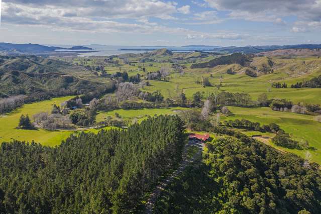 234 Opitonui Road Whangapoua_3