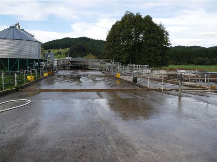 414 Sherry River Road Tapawera_26