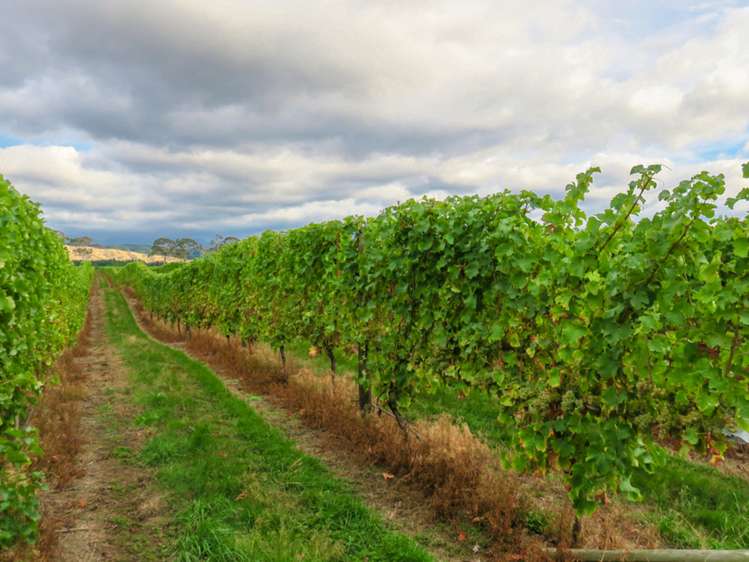 1089 Waihopai Valley Road Waihopai Valley_8