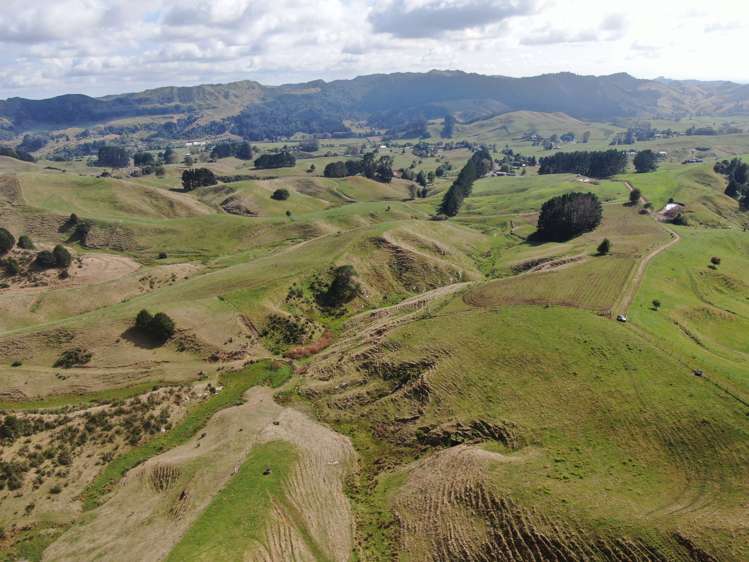 1026 Limeworks Loop Road Karamu_17