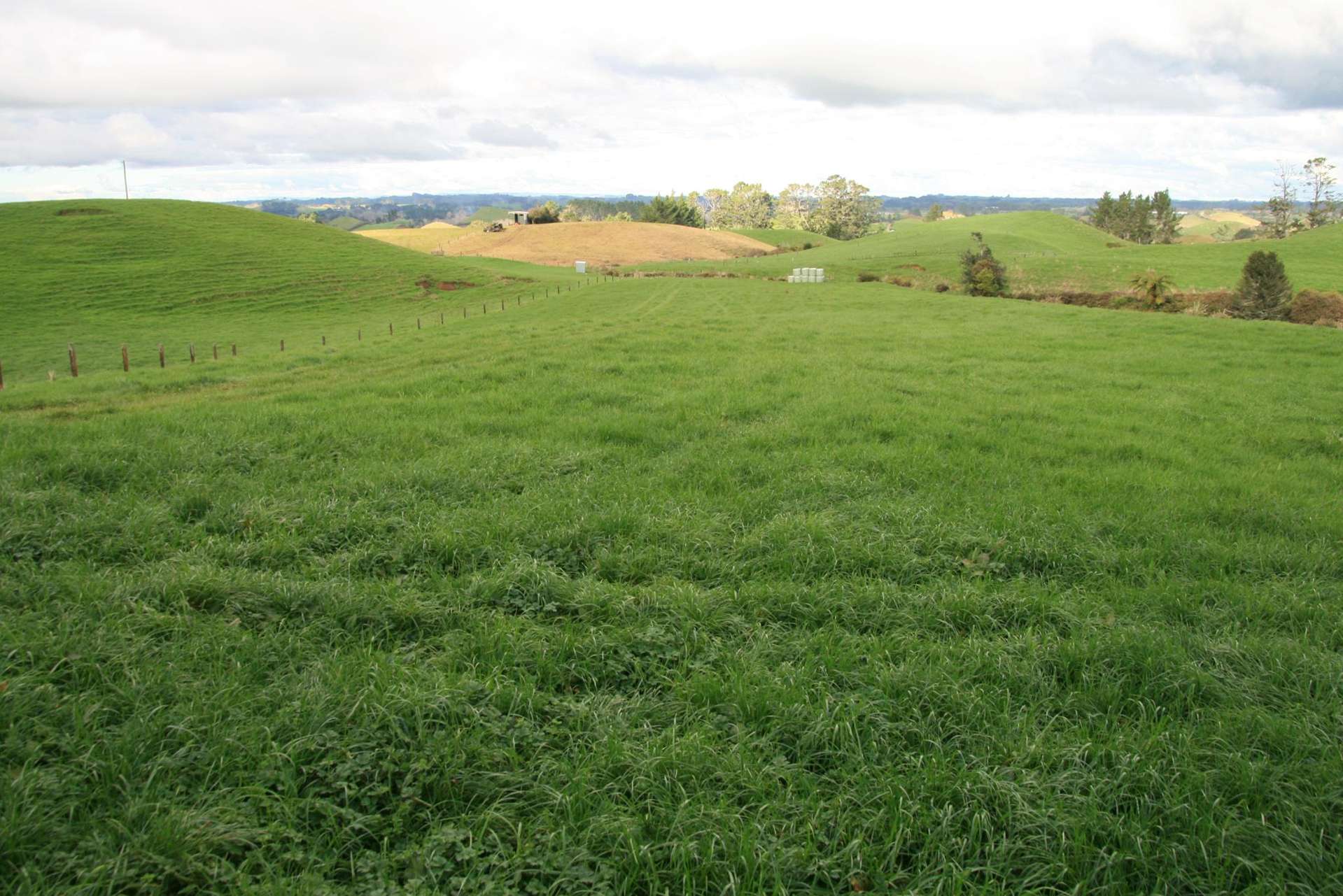 190 Lincoln Road Inglewood_0