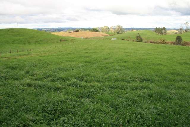 GRAZING AND OR BUILDING WITH VIEWS