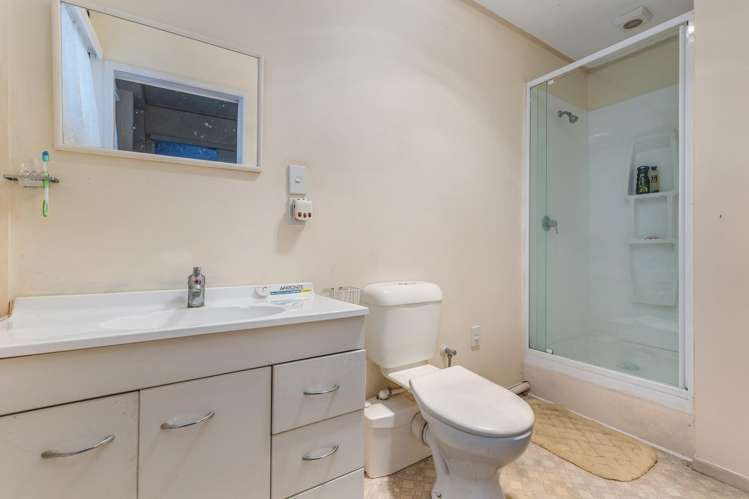 9 Griffen Park Road Mount Roskill_9