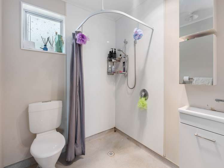 118 South Road Mamaku_21