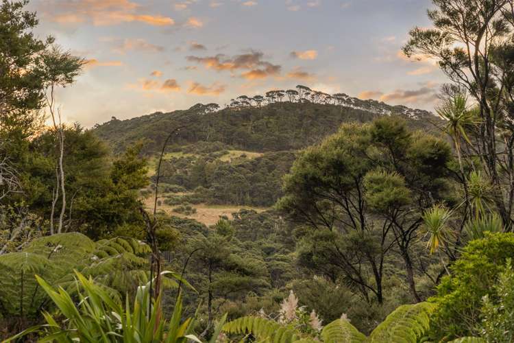 1223 Old North Road Waimauku_35