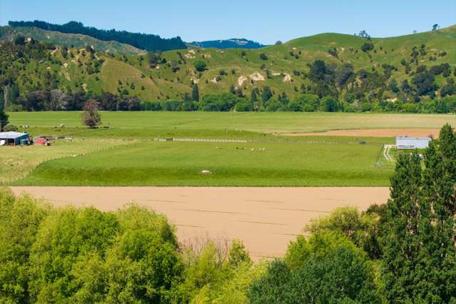 Lot Lot 2 DP 578365, Poynter Road Te Karaka_3