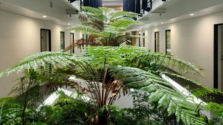 203/14 Edgerley Avenue Epsom_11