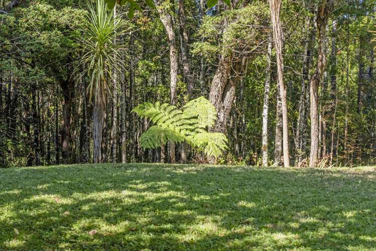 200 Forest Hill Road Waiatarua_16