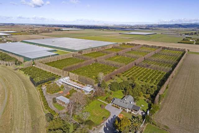 64 Cemetery Road Patutahi_1