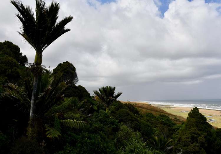 904 Karamea Kohaihai Road Karamea_44