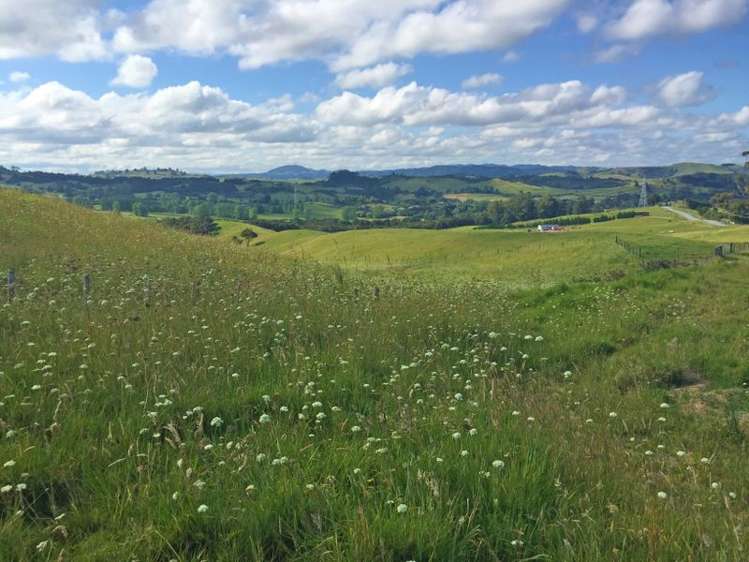 Monk Road Mangapai and Surrounds_4