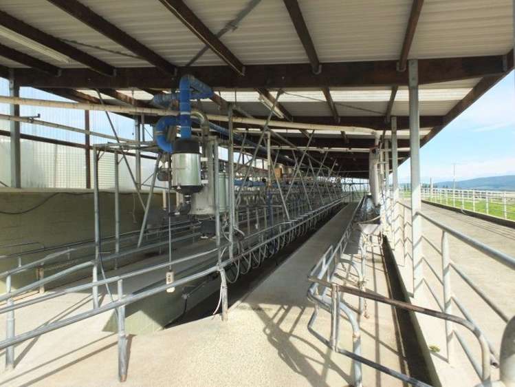 685 Benmore Otapiri Road Winton Surrounds_6