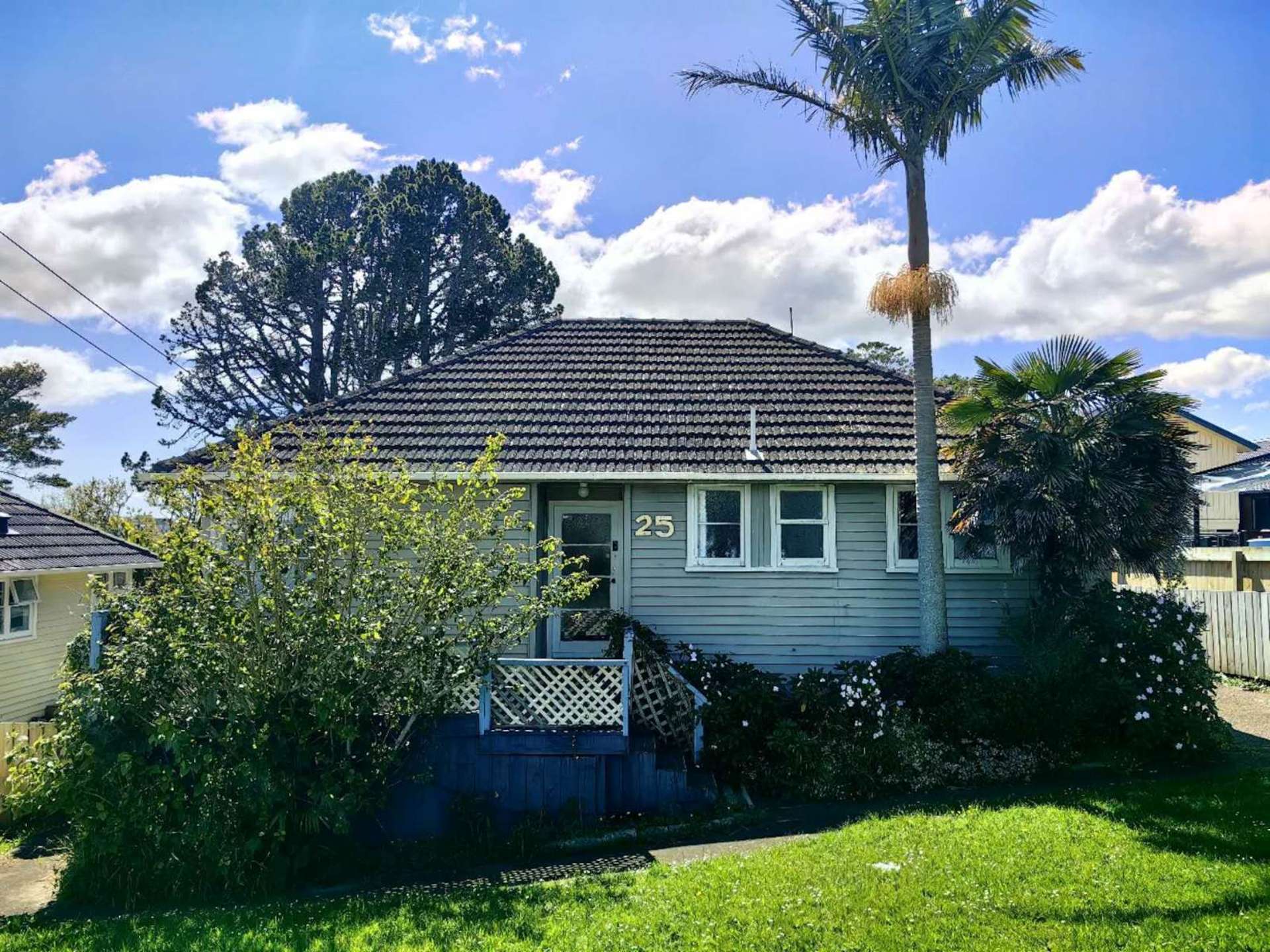 25 Marion Avenue Mt Roskill_0