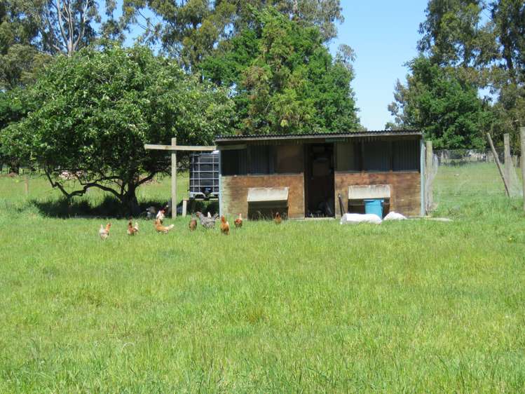 80 Johnstone Street Tinwald_10