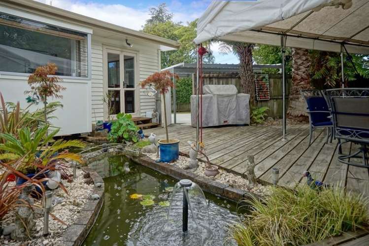 111 Cameron Road Te Puke_0