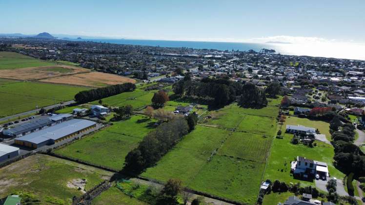 151 Domain Road Papamoa Beach_6