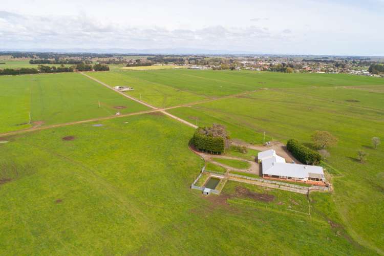 287 State Highway 1 Bulls_11